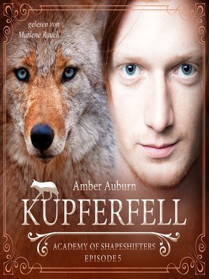 cover image of Kupferfell, Episode 5--Fantasy-Serie